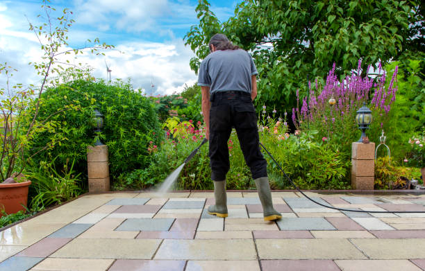 Animal Enclosure Cleaning in Lake Los Angeles, CA
