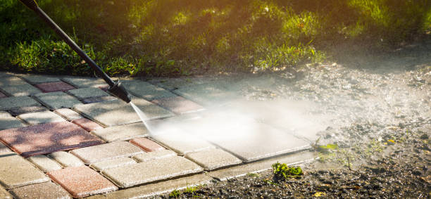 Best Solar Panel Cleaning  in Lake Los Angeles, CA